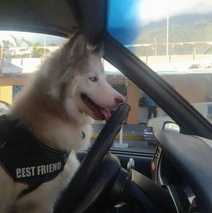 Meet your Posher, Alirio antonio